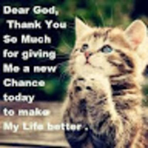 Meet your Posher, Jaelynn